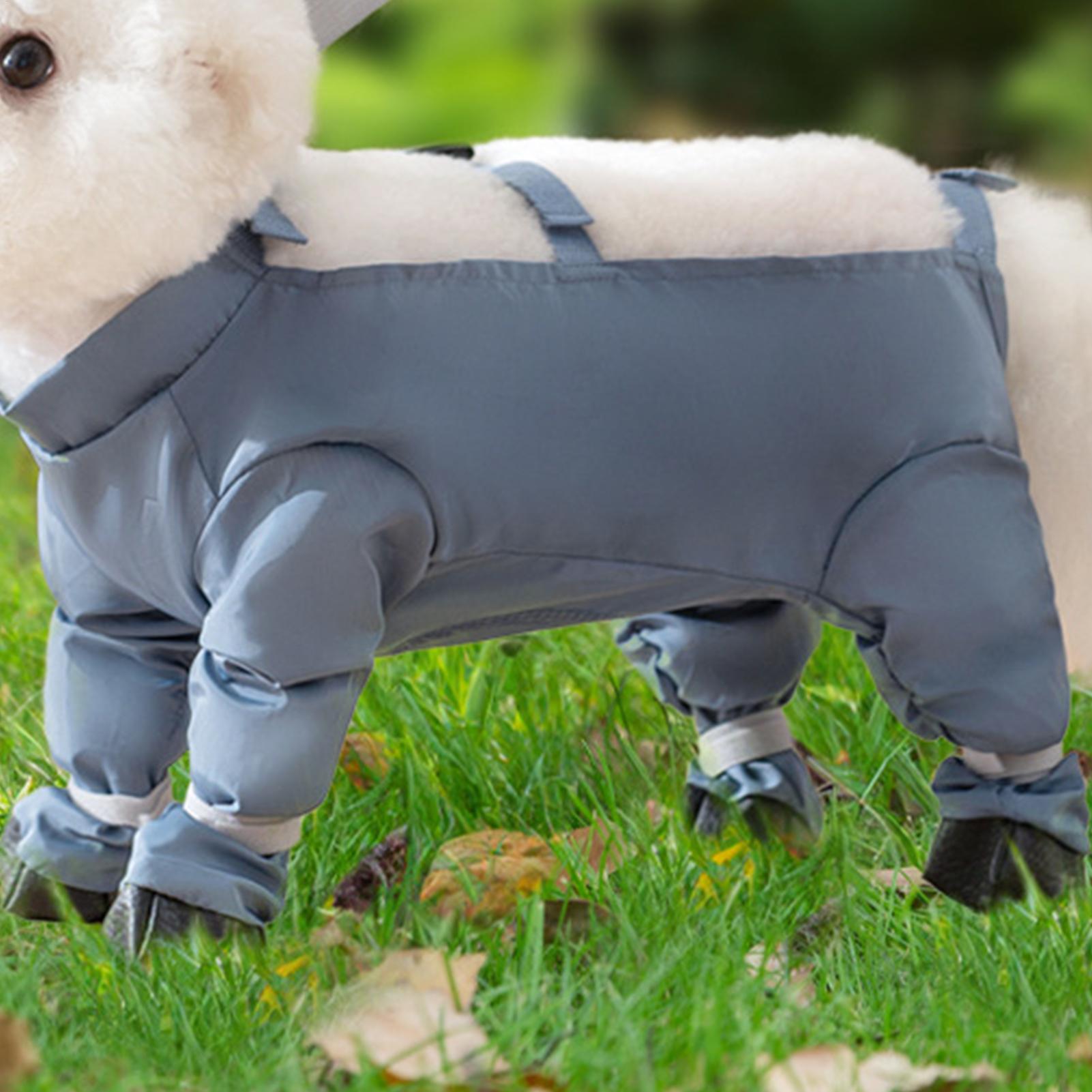 Waterproof Dog Boots With Susp - Women'S Shoes Hush Puppies ulasan dan harga