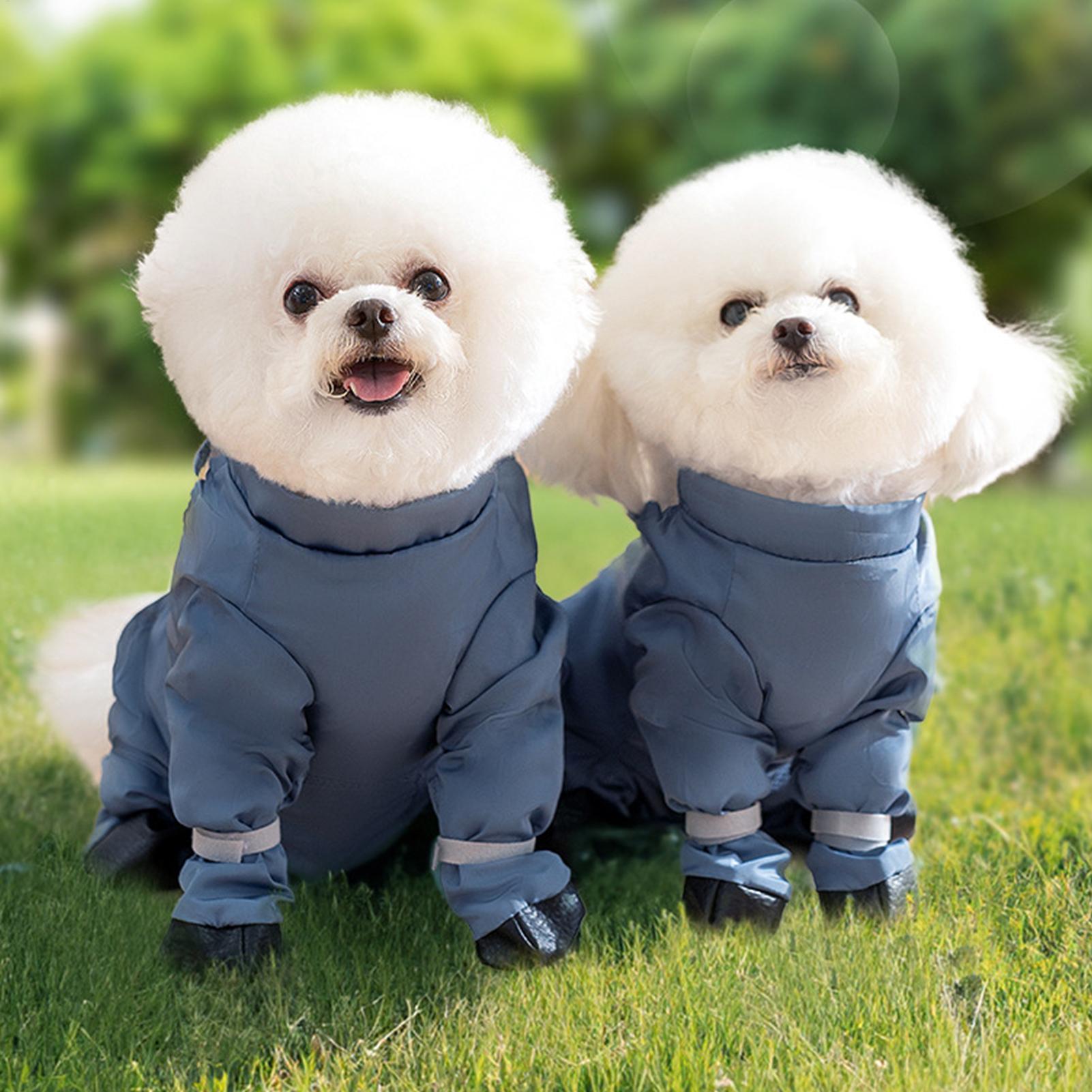 Waterproof Dog Boots With Susp - Women'S Shoes Hush Puppies ulasan dan harga