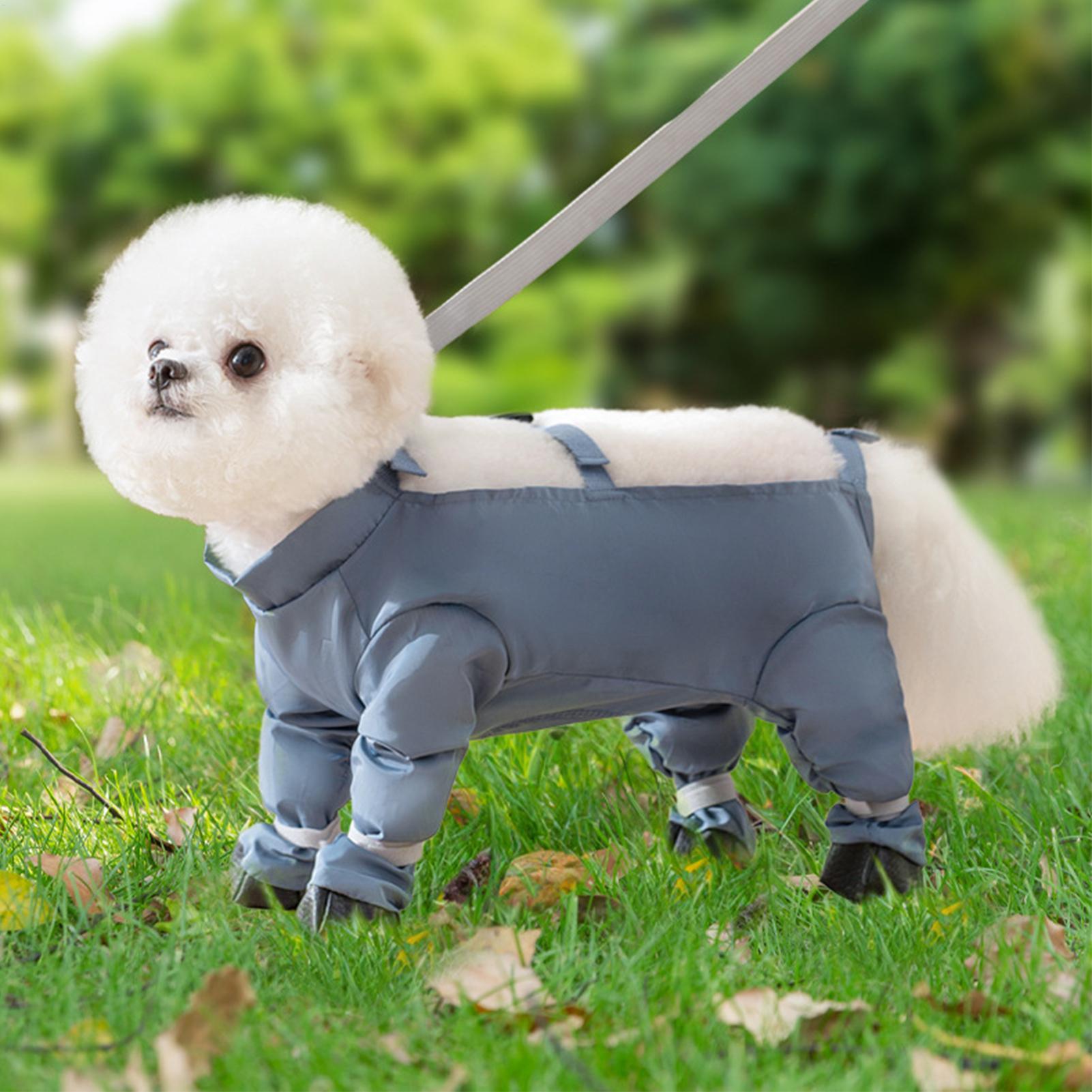 Waterproof Dog Boots With Susp - Women'S Shoes Hush Puppies ulasan dan harga